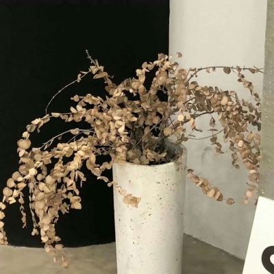 兽设场景氛围营造FurryQQ群